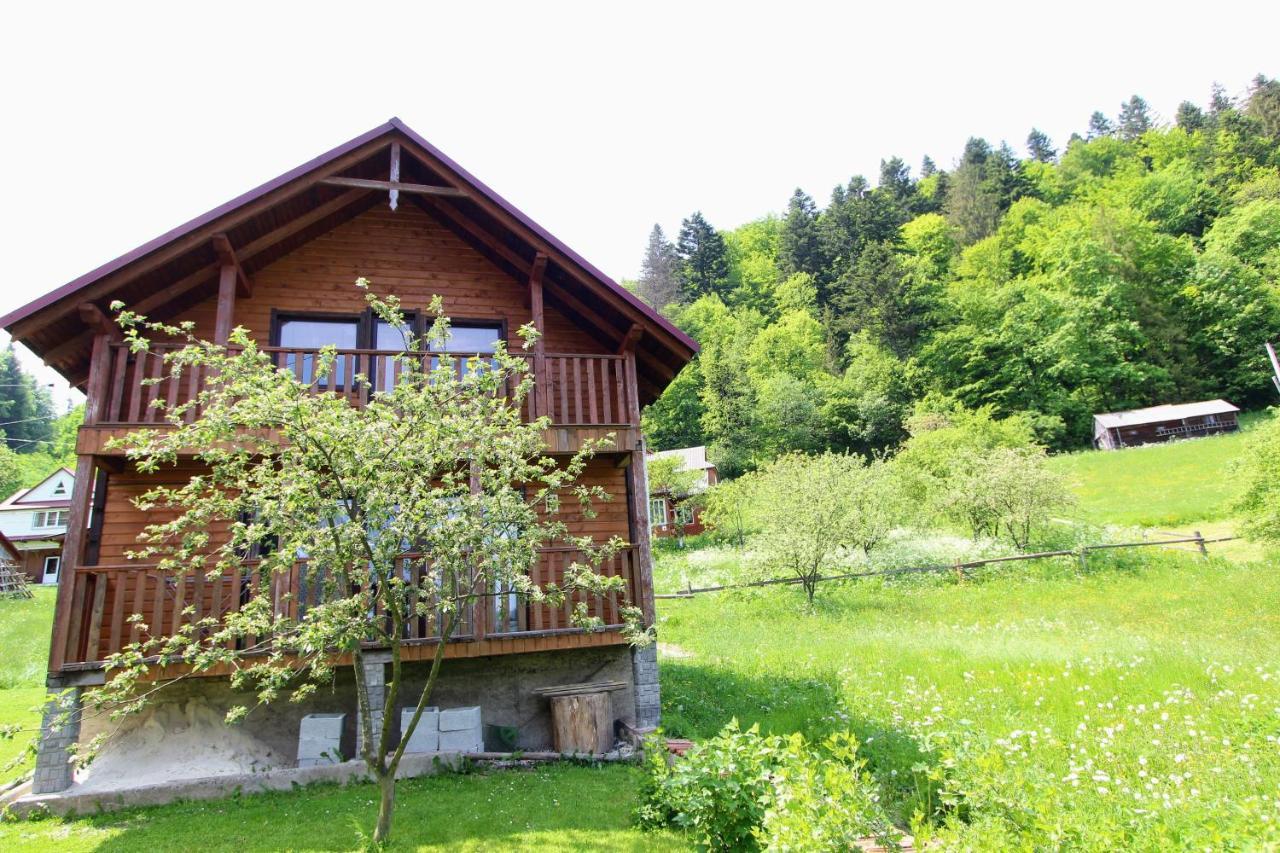 Котедж "Карпатський Краєвид" Yaremche Luaran gambar